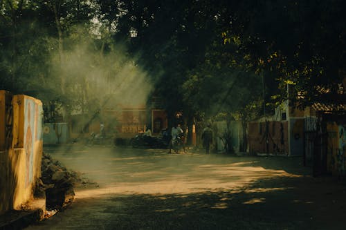 Kostnadsfri bild av dimma, gata, solljus