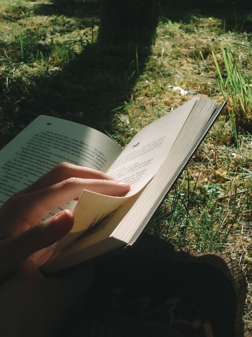 Free A tranquil moment reading outdoors with sunlight filtering through trees, casting shadows on the grass. Stock Photo