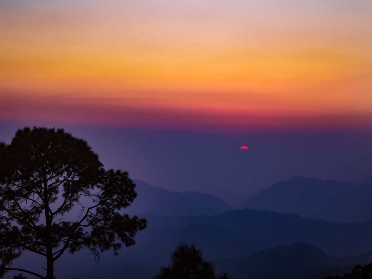 21 Day Jungle & Beach Nature Yoga Retreat in Agonda, Goa, India 2