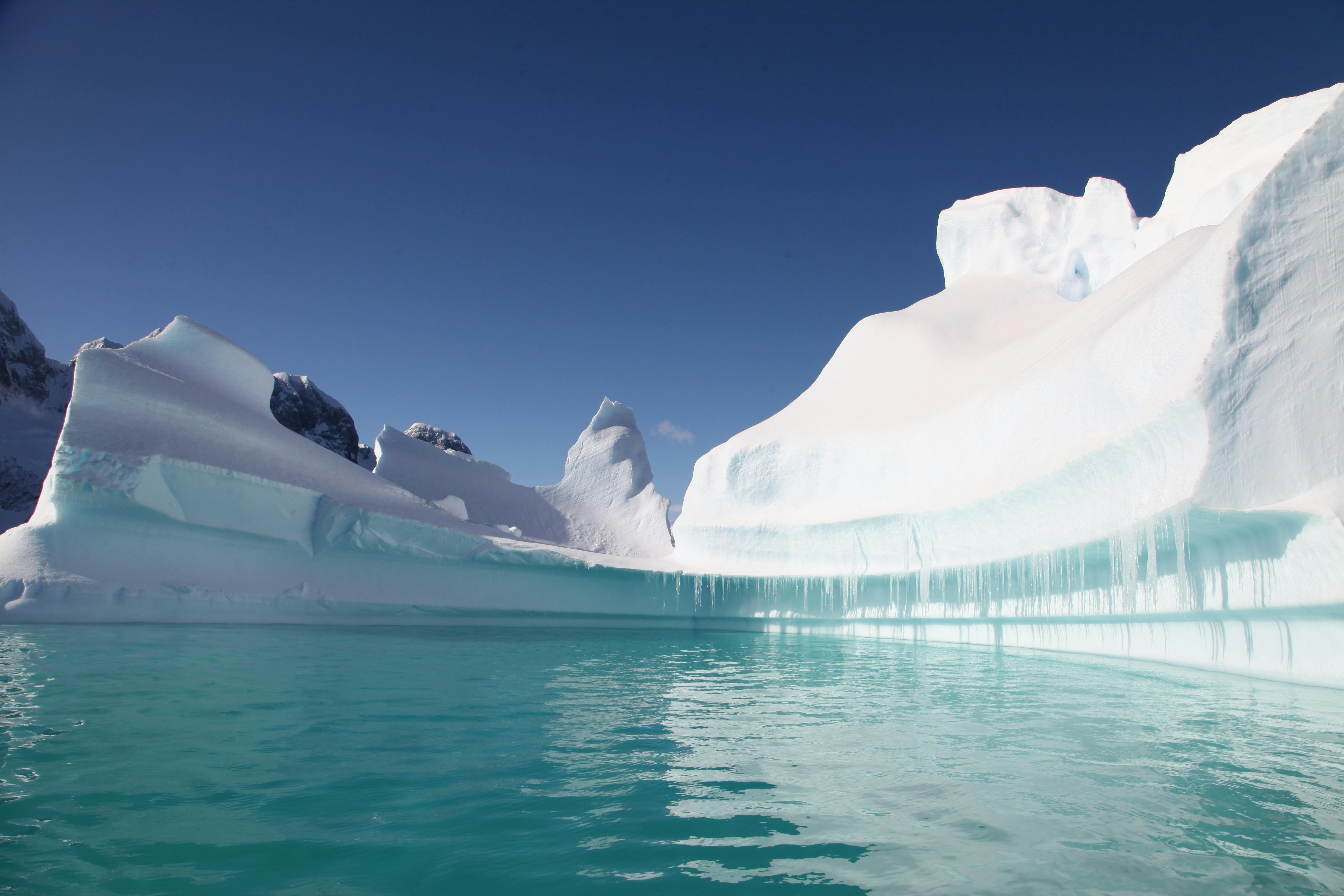 プルー 南極大陸 氷の無料の写真素材