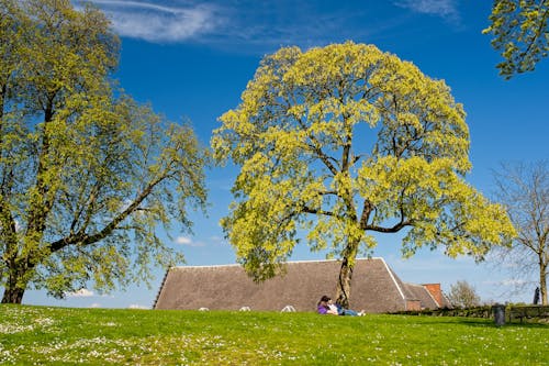 Couple Sitting under a Tree in a Rural Area 