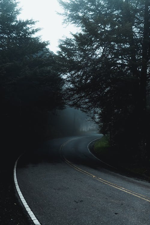 10,000+ Best Empty Road Photos · 100% Free Download · Pexels Stock Photos