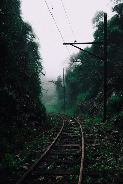 Curved old railroad going along power line between forest with green trees on foggy day in countryside