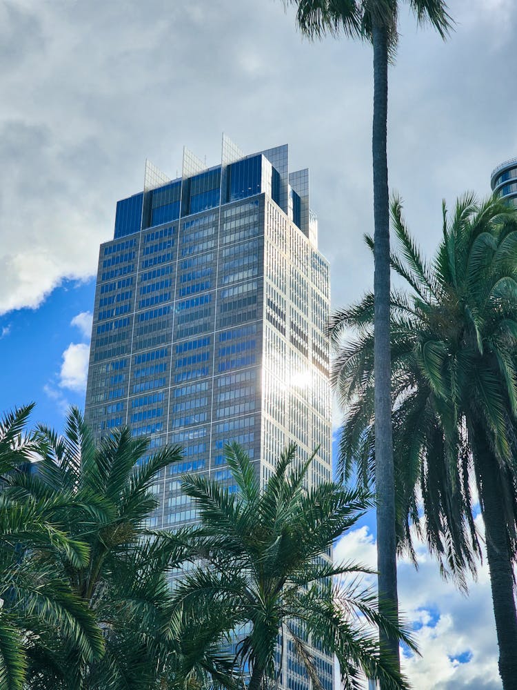 Modern Skyscraper In Tropical Landscape