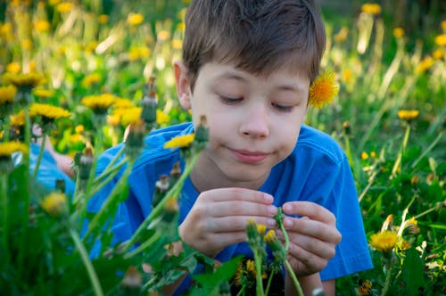 乾草地, 兒童, 夏天 的 免费素材图片