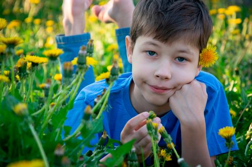 Free A young boy lies in a sunny meadow surrounded by vibrant dandelions, enjoying a summer day. Stock Photo