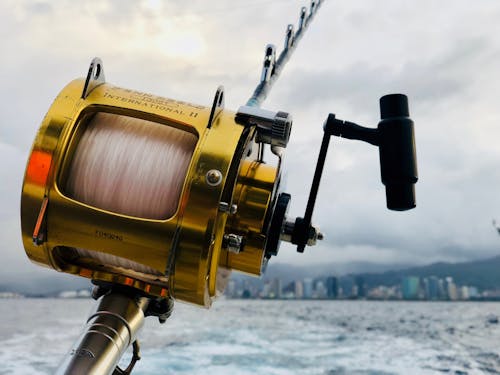 Fishing Gear Photos, Download The BEST Free Fishing Gear Stock
