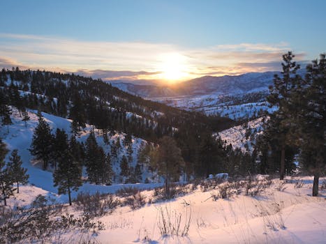Stunning winter sunrise over a snow-covered pine forest and mountain landscape.