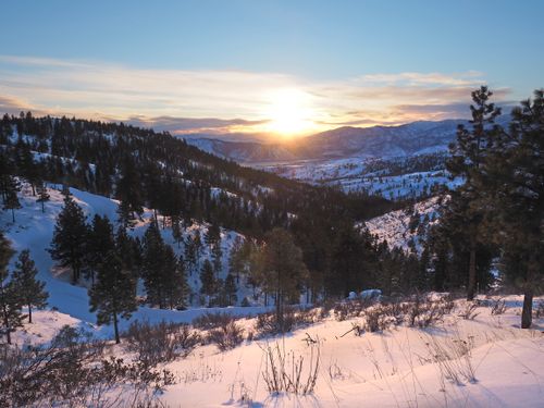 Free Stunning winter sunrise over a snow-covered pine forest and mountain landscape. Stock Photo