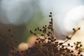 Artwork for From Chronic Pain to Purpose: Thomas Cataldo on the Healing Power of Acupuncture | Healing Horizons