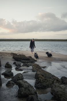A serene scene of a woman walking her two dogs along a rocky beach during sunset, capturing tranquility.