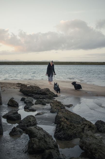 A serene scene of a woman walking her two dogs along a rocky beach during sunset, capturing tranquility.