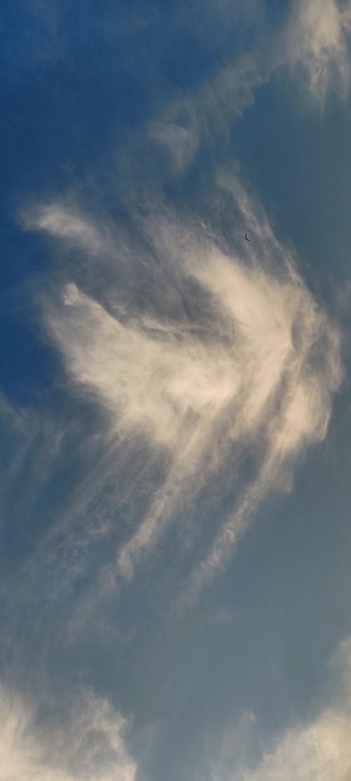 Foto profissional grátis de acima das nuvens, forma de nuvens, nuvem