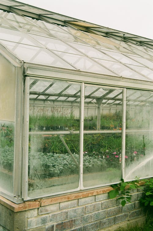 Greenhouse for Growing Potted Plants