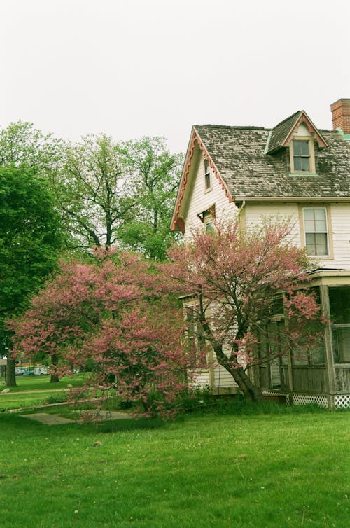 View of a Rustic House 