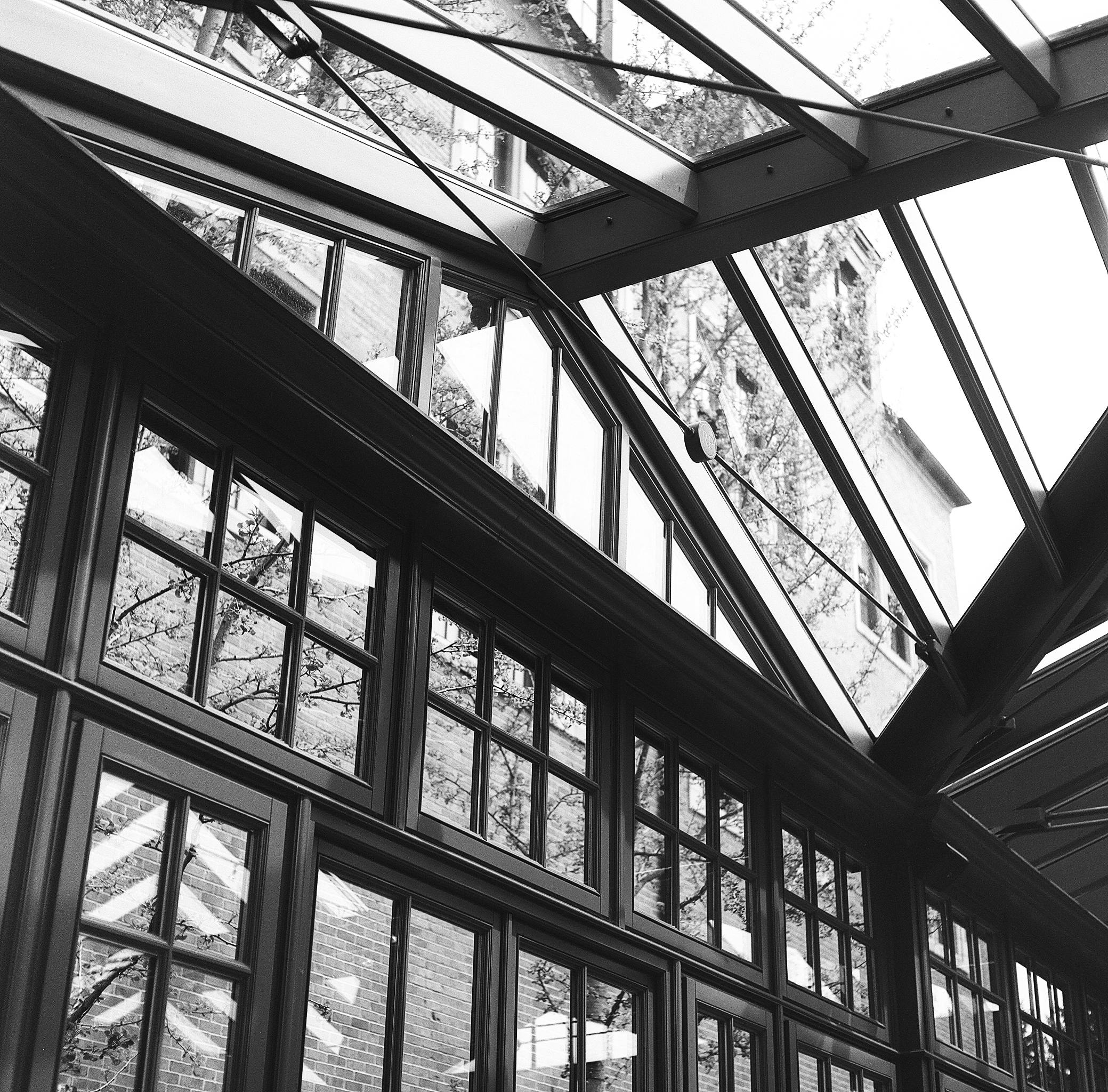 Monochrome view of a modern glass roof structure with steel frames and reflections.