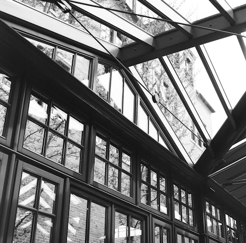 Grayscale Shot of a Glass Roof of a Greenhouse