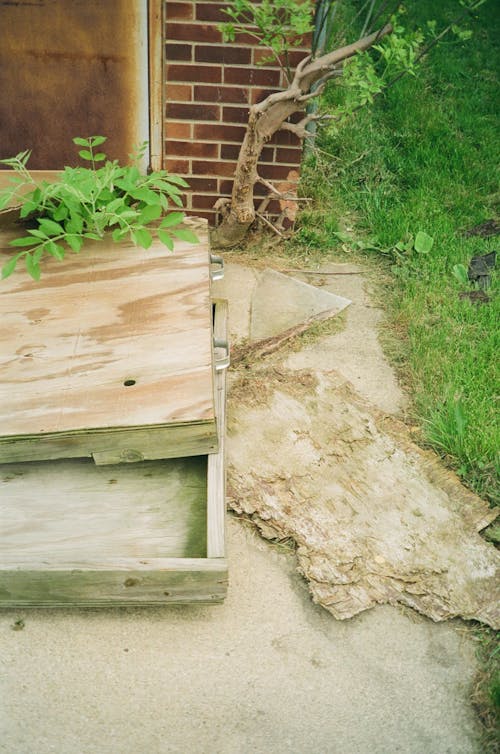 Pieces of Wood on the Ground