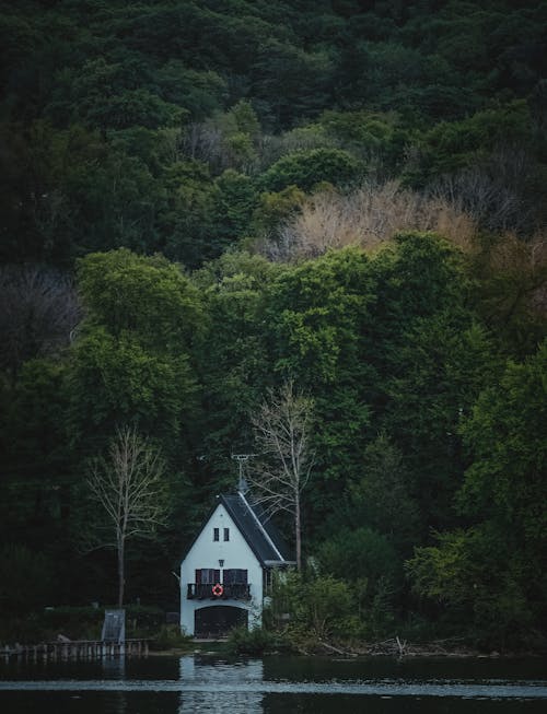 Building by Lake in Forest