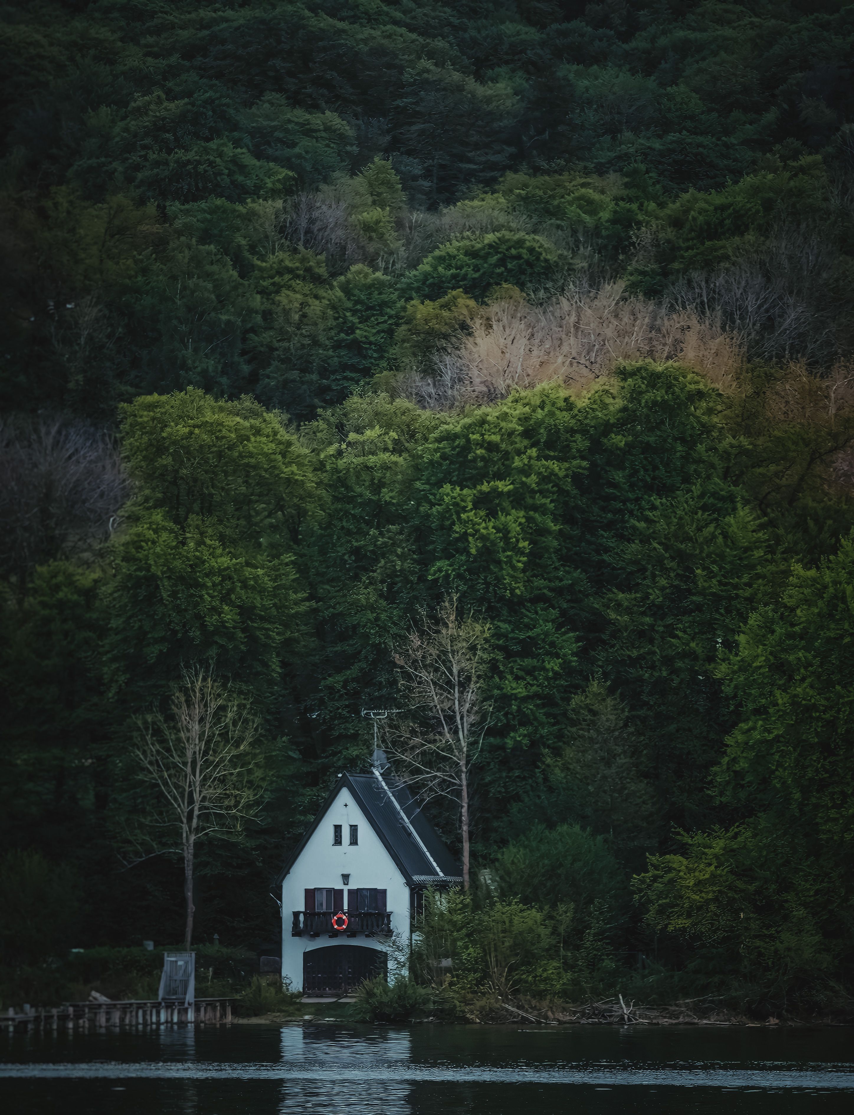 A small white house sits on the edge of a lake · Free Stock Photo