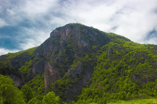 View of a Rocky Mountain Covered with Green Trees