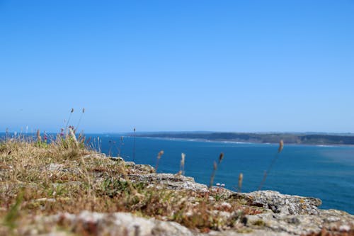 Free stock photo of north yorkshire, scarborough, seaside