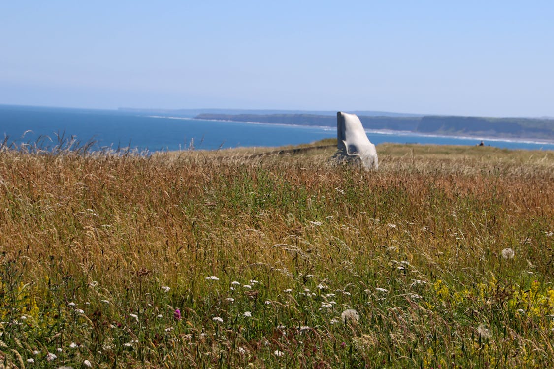 Gratis arkivbilde med kyst, nord yorkshire, scarborough