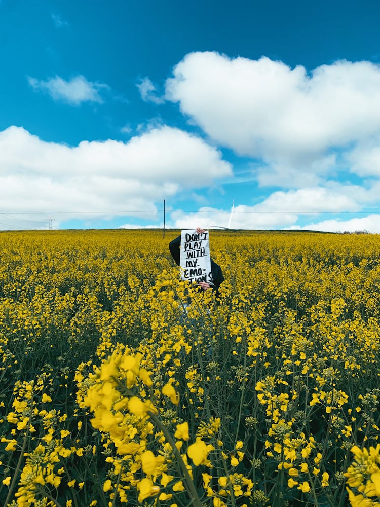 A Person Holding A Sign 