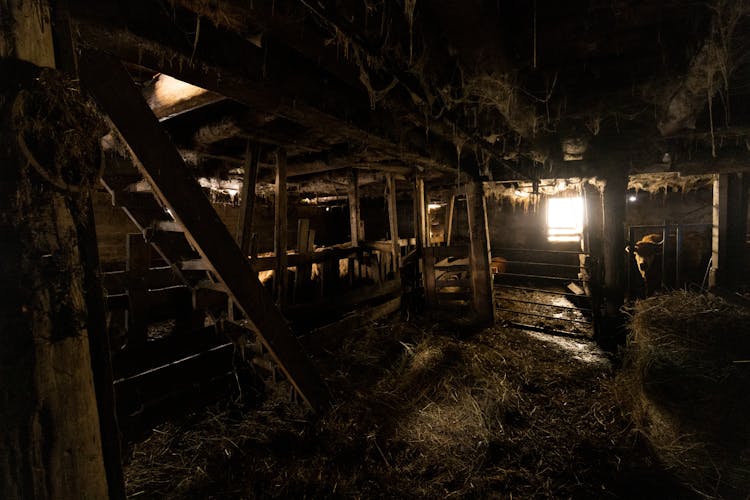 Interior Of An Abandoned Barn 