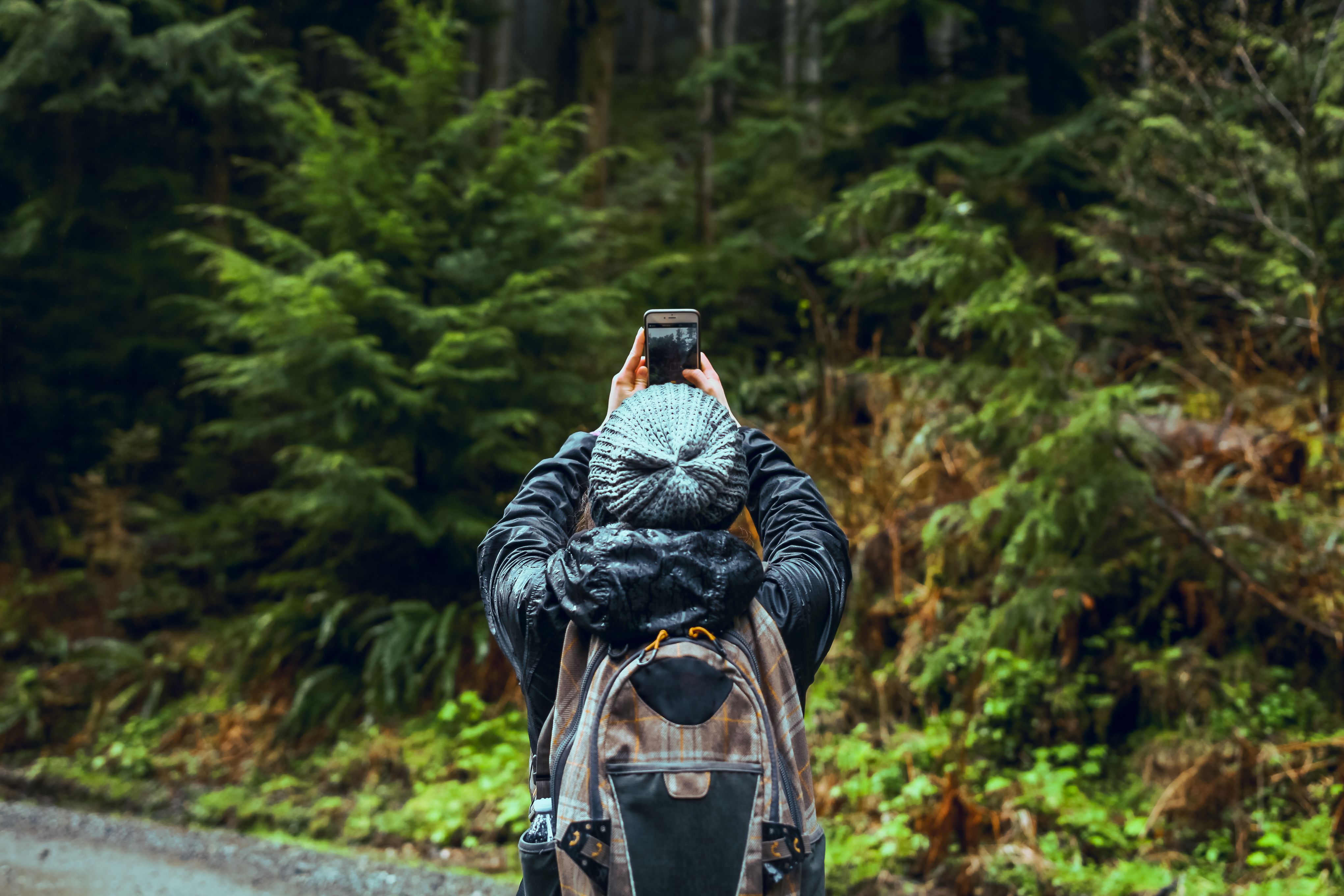 smartphone photography nature landscape