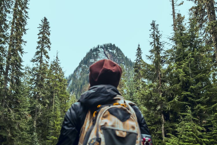 Person Standing In Front Of Pine Trees