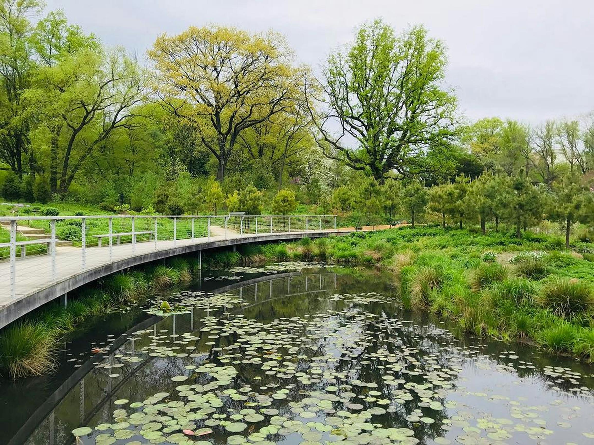 Free Stock Photo Of Botanical Garden Botany Bridge