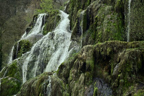 Waterfall on Rocks in Moss