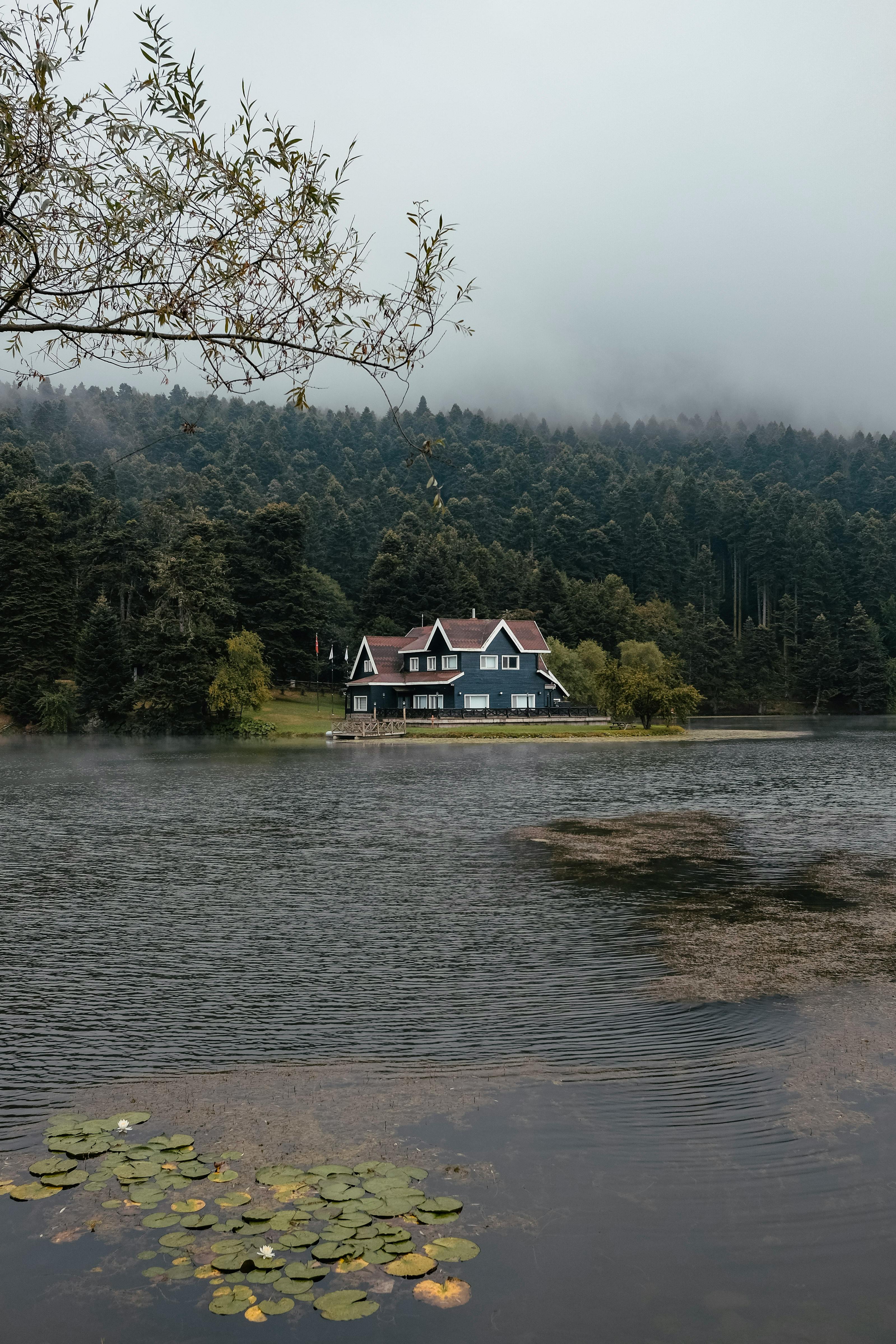 Charming house by a serene lake surrounded by a misty forest, creating a tranquil and picturesque scene.