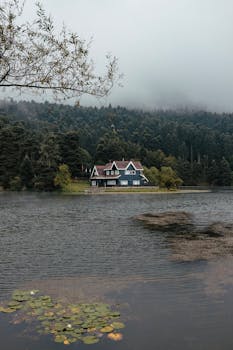 Charming house by a serene lake surrounded by a misty forest, creating a tranquil and picturesque scene.