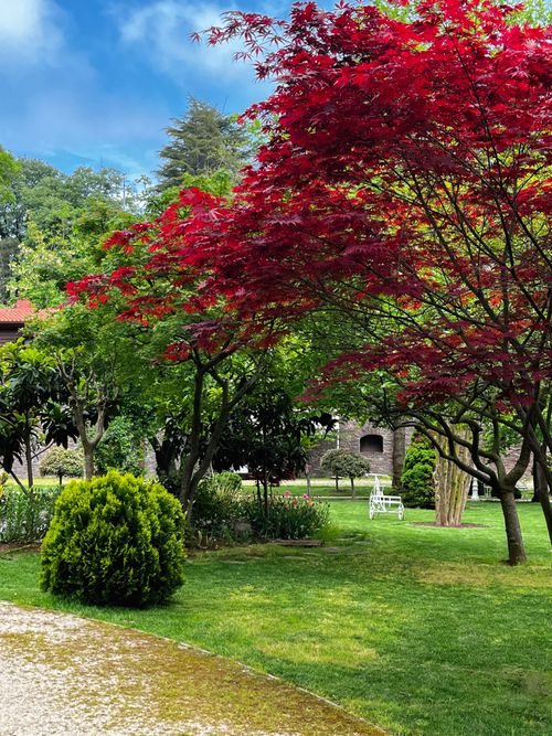 Free stock photo of botanic Stock Photo
