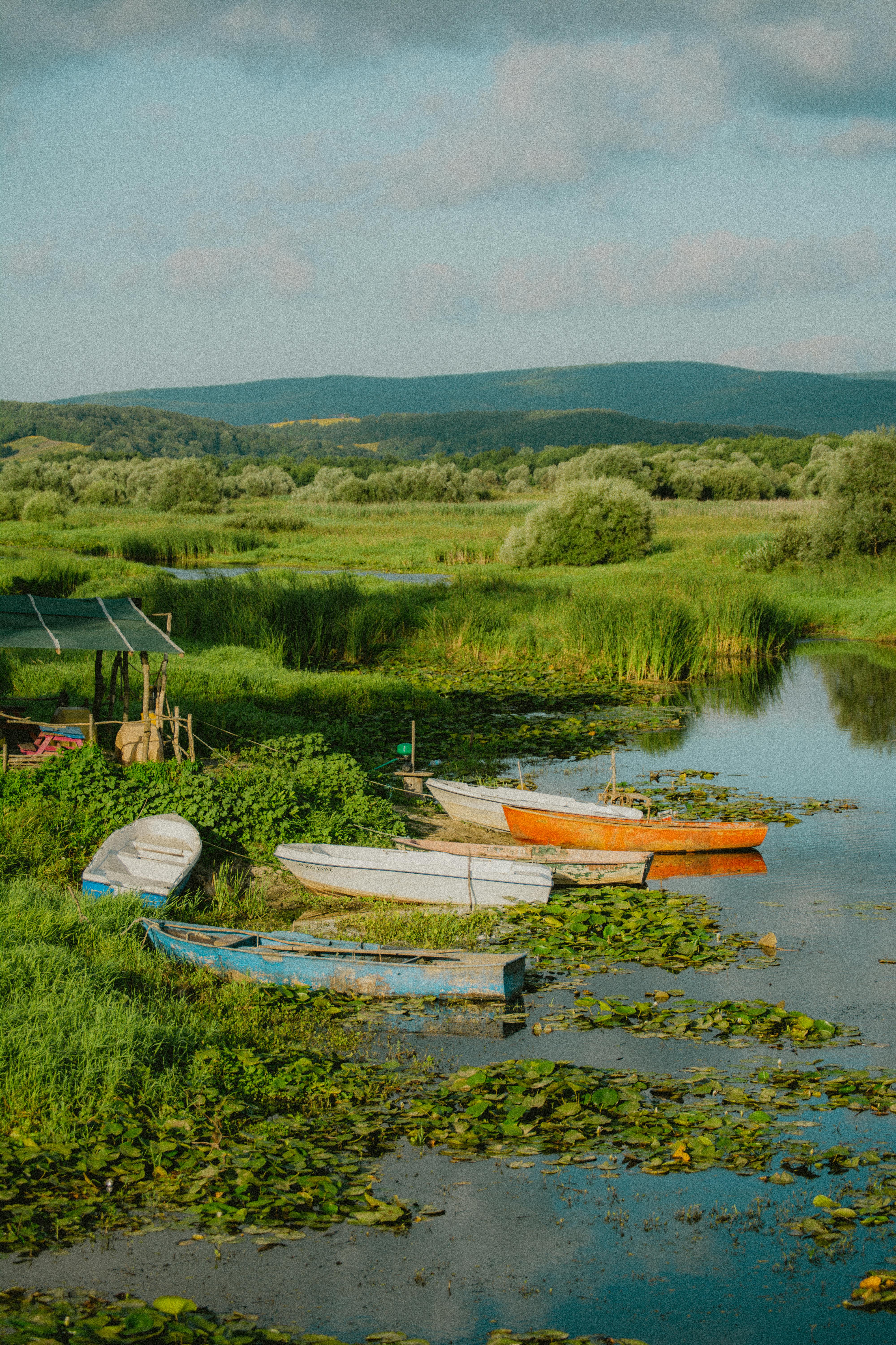 A serene view of boats on a lush lake surrounded by greenery in İstanbul.
