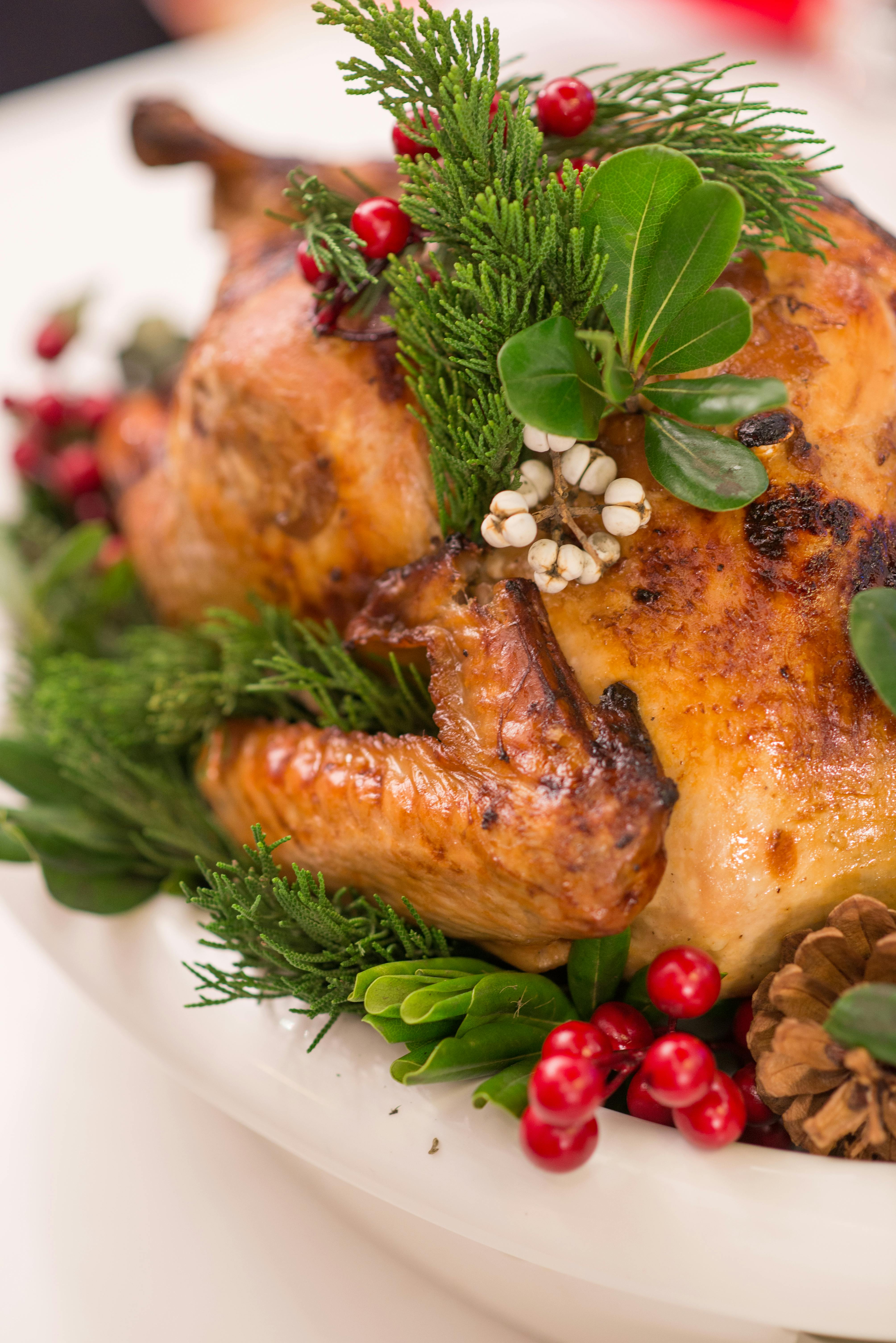 Free Stock Photo Of Christmas Turkey