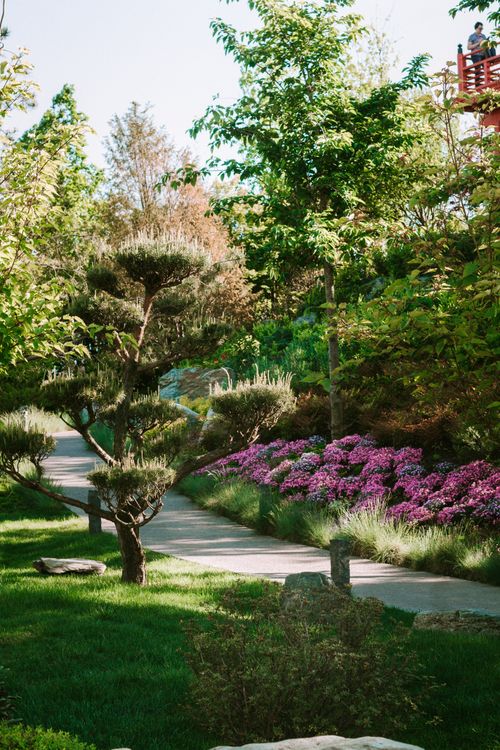 Free A peaceful garden pathway surrounded by trees and vibrant flowers on a sunny day in Krasnodar, Russia. Stock Photo