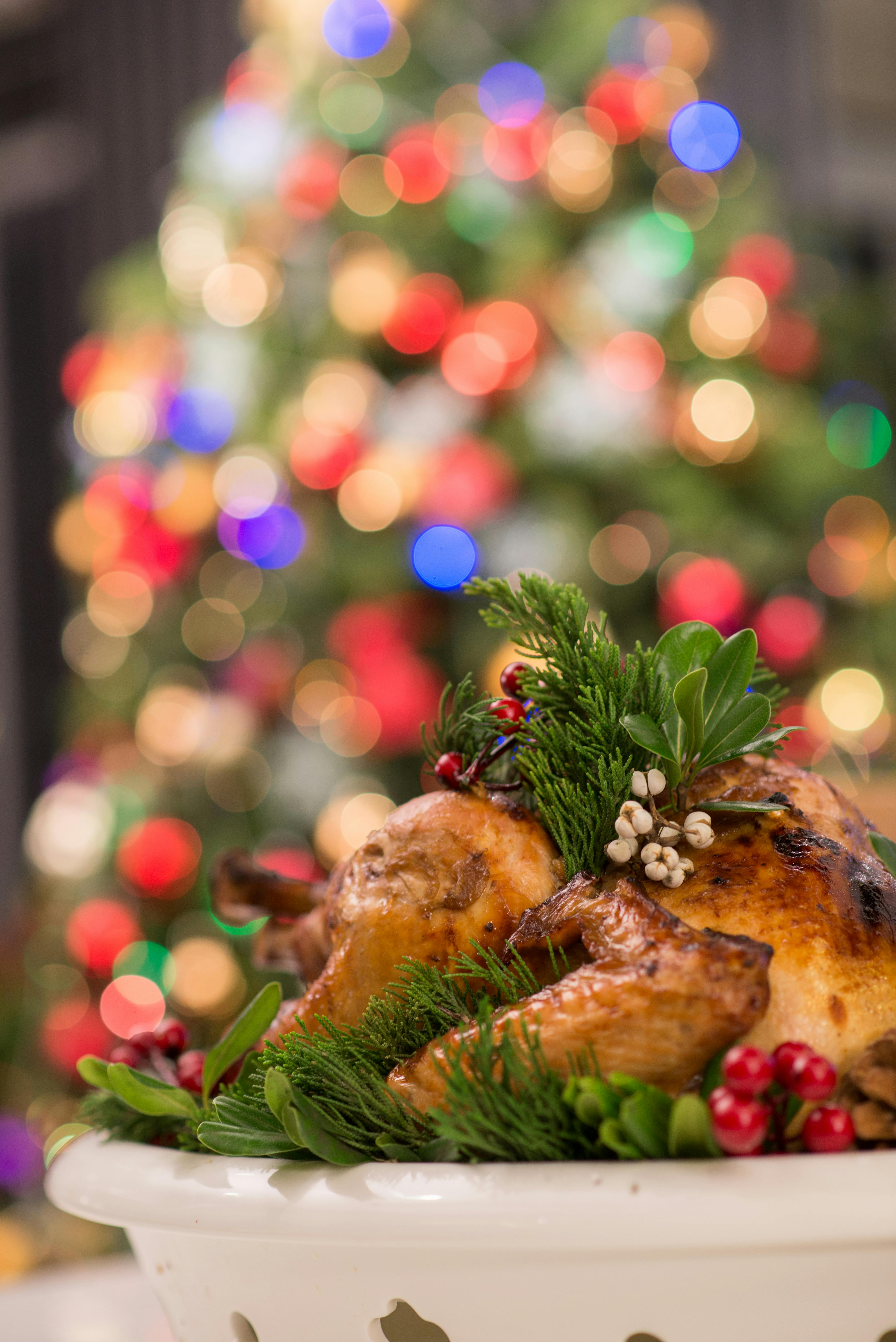 Free stock photo of christmas, christmas tree light, Christmas turkey