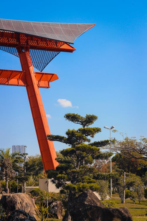 Ingyenes stockfotó central park, Japán, kert témában
