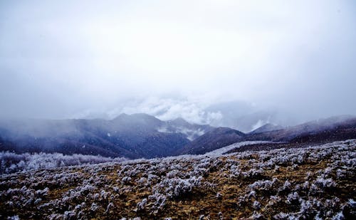 Miễn phí Núi Bao Phủ Bởi Sương Mù Ảnh lưu trữ