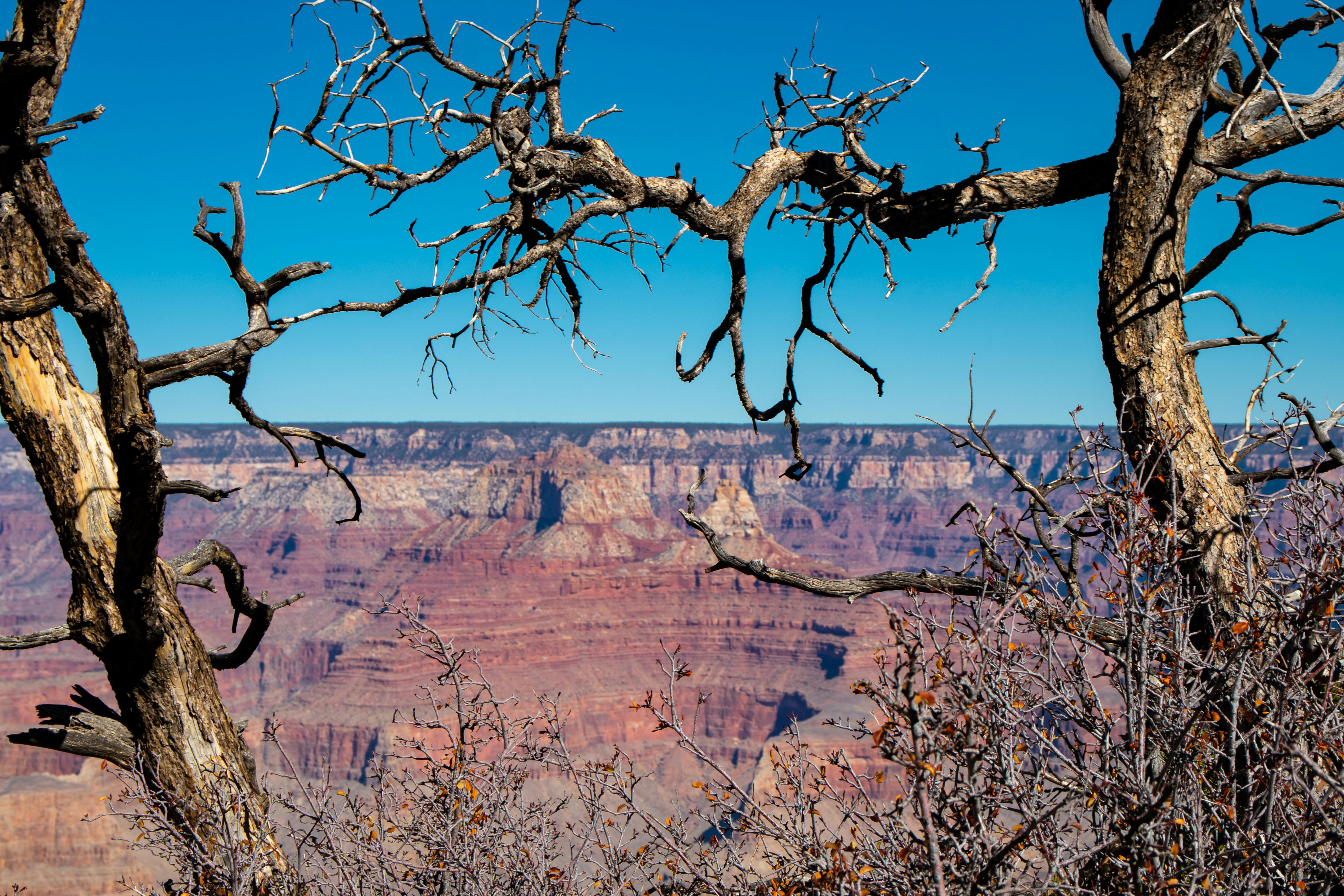 The Grand Canyon in Colorado · Free Stock Photo
