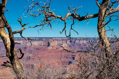 The Grand Canyon in Colorado