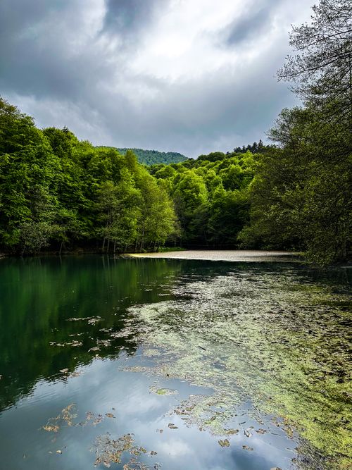 Free Tranquil lake surrounded by lush forest with serene reflections on a cloudy day. Stock Photo
