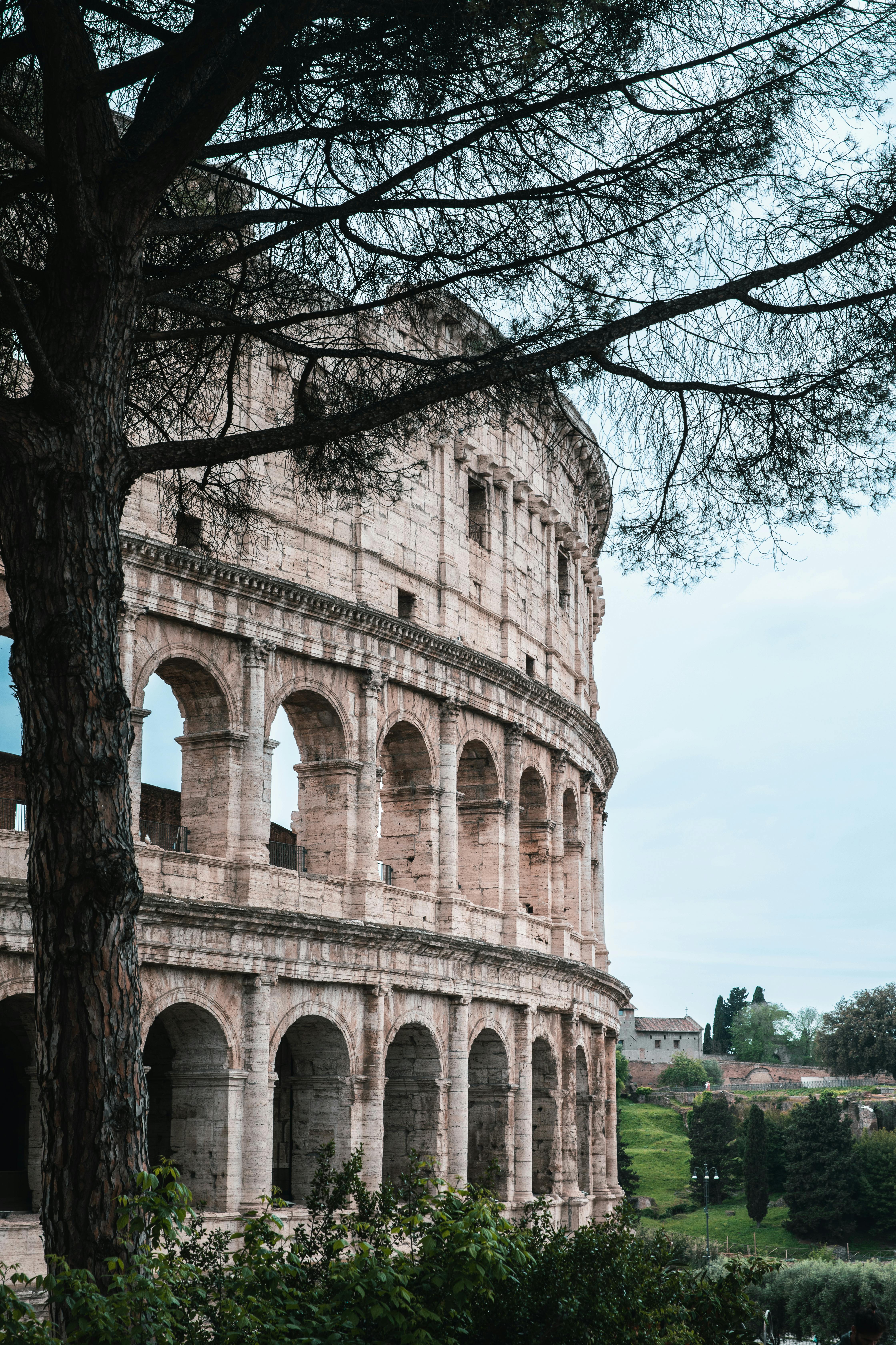 Gratis Immagine gratuita di albero, anfiteatro, anfiteatro gigante Foto a disposizione