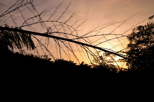 Free stock photo of sunset Stock Photo