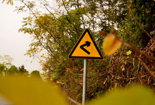 Free stock photo of green Stock Photo