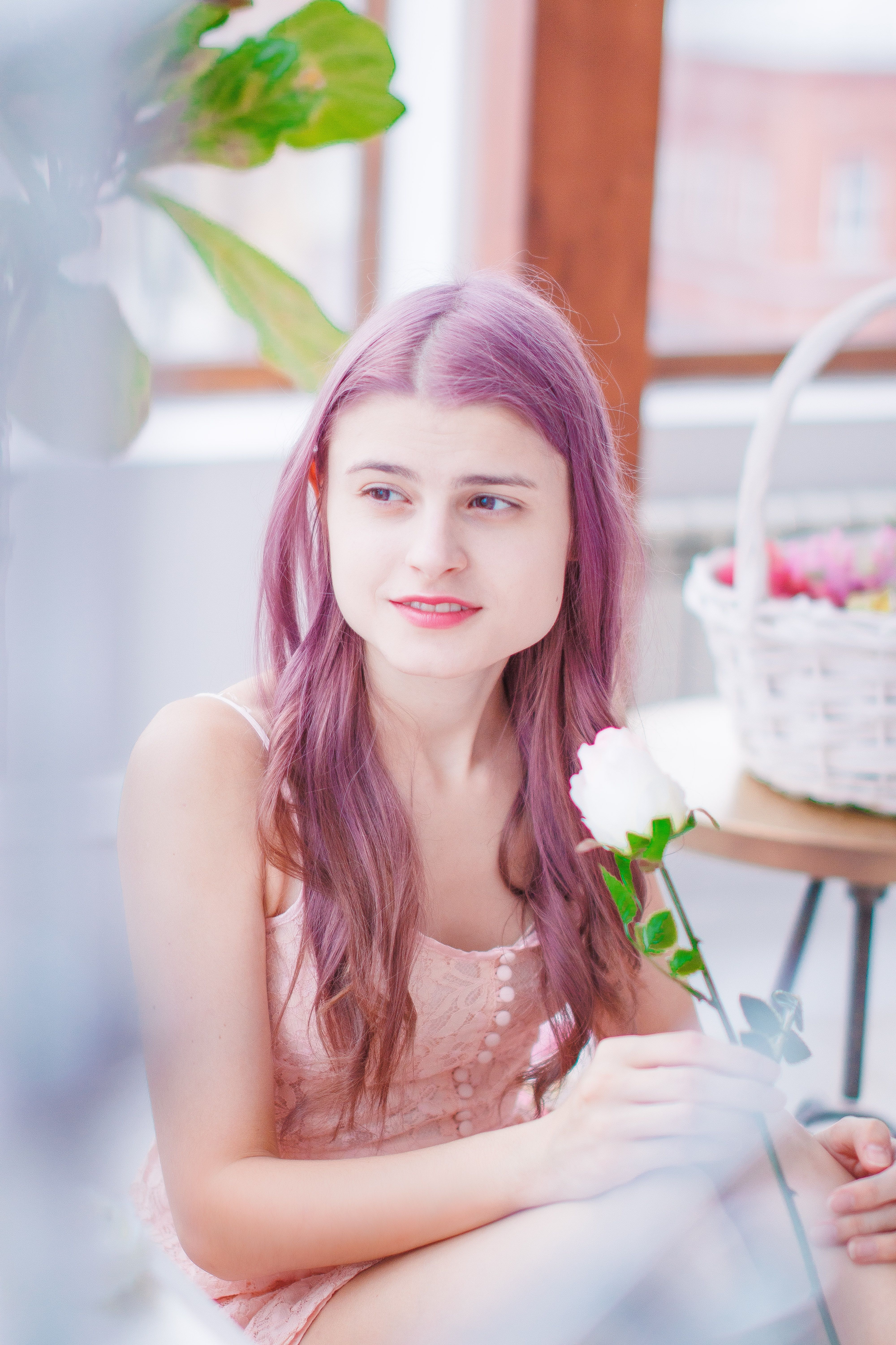 Portrait of a young woman with dyed purple hair holding a white rose indoors.