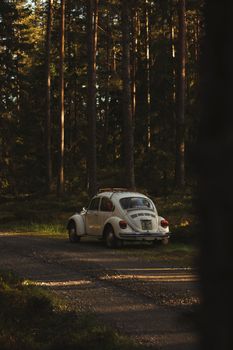 Classic Volkswagen Beetle parked in a serene forest setting during day.